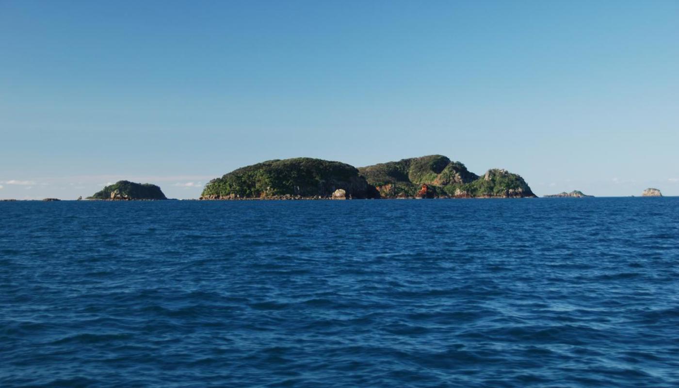Great Mercury Islands