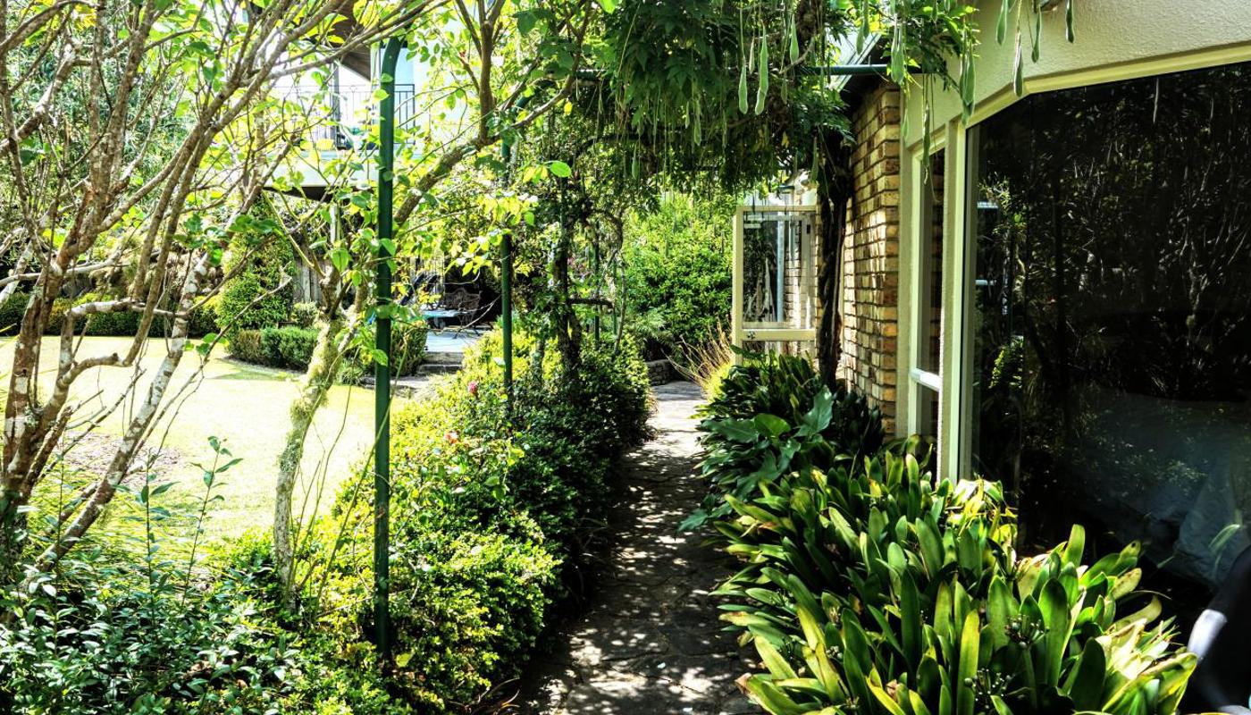 Shady stone path to the garden lawn