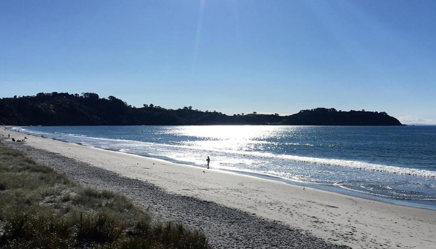 A crowded beach on the Waiheke Island Bush & Beach Walk