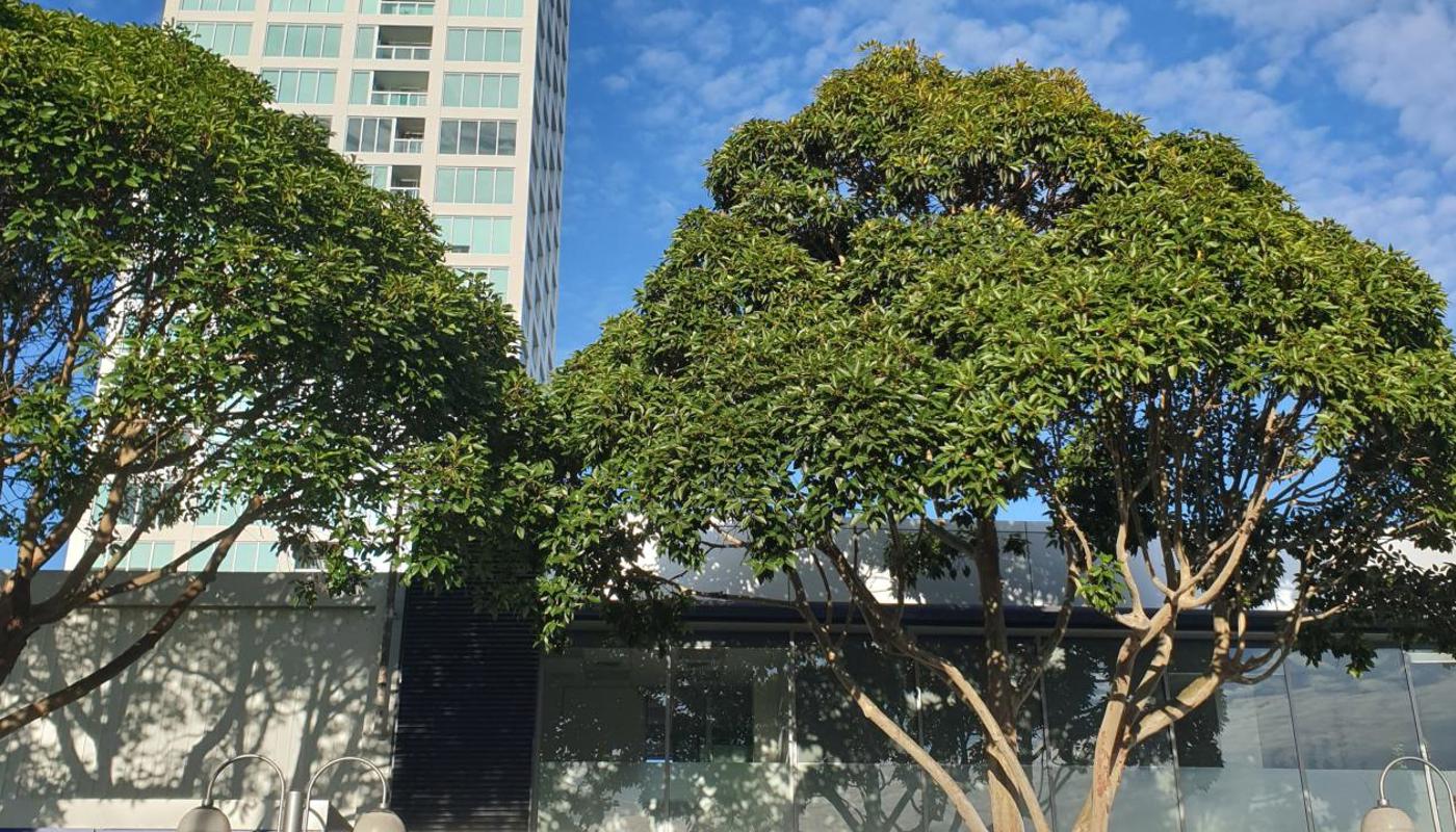 Escape HQ Auckland Image 4