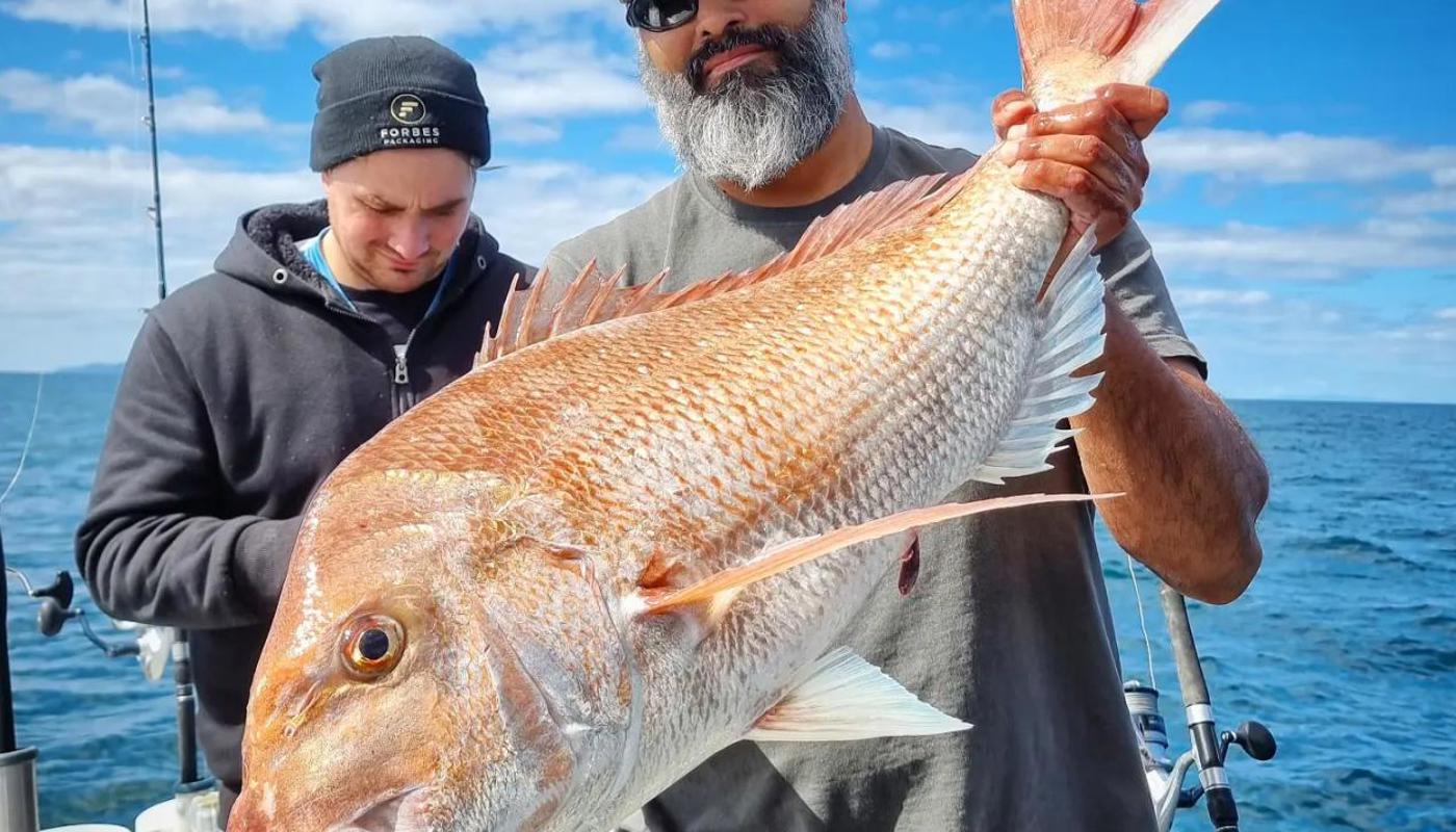 Trophy Snapper in the Hauraki Gulf