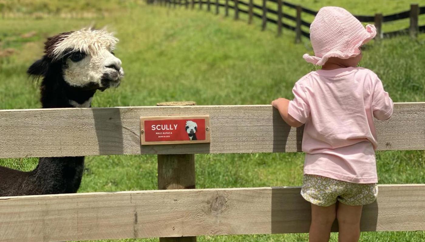 Yes, we have alpacas