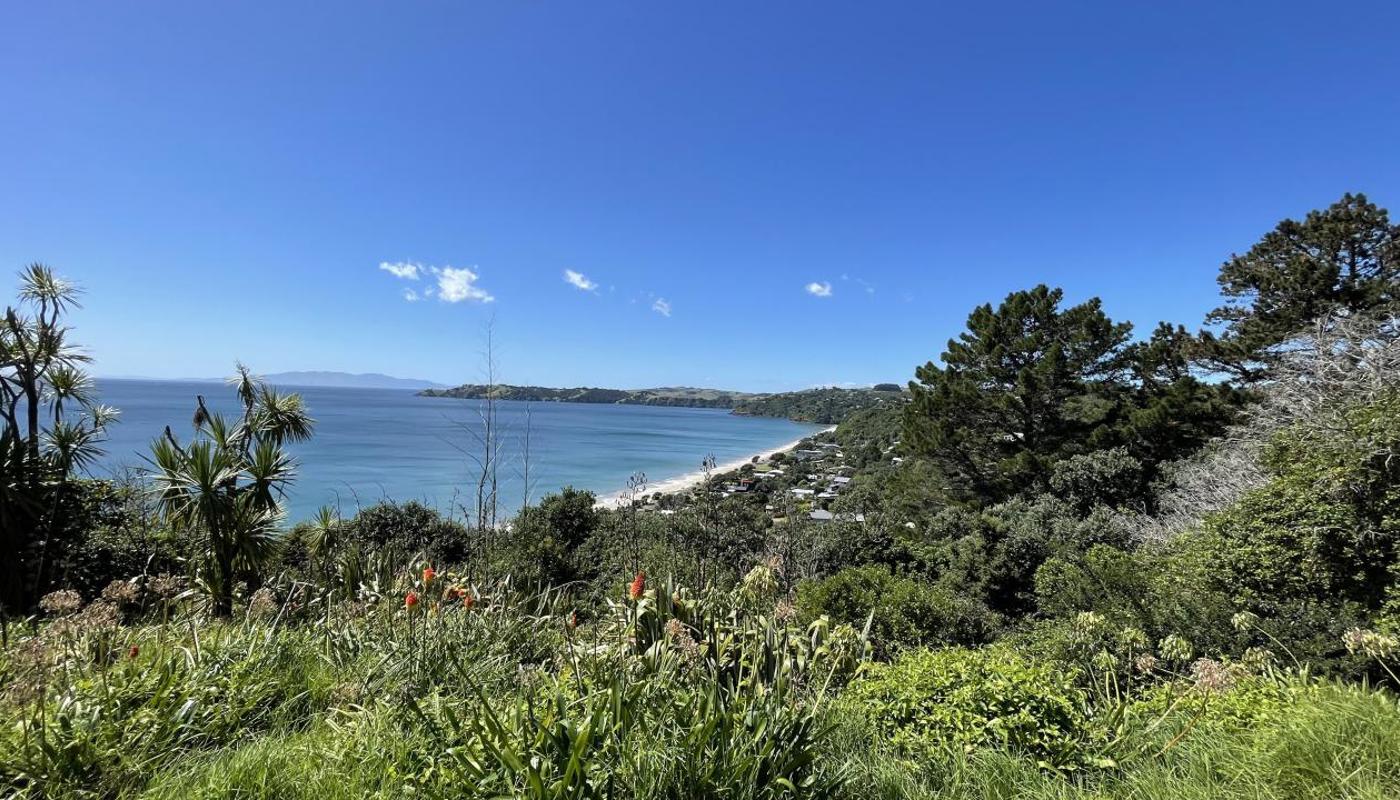 Waiheke Mini Tours Image 5