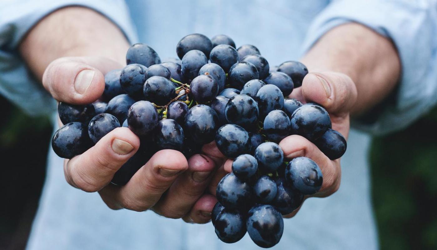 The story behind the wine