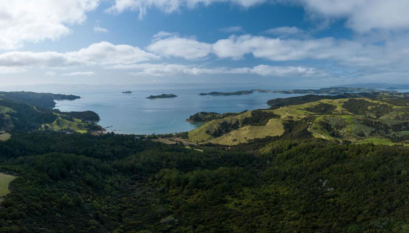 Man O' War Forest Flight - aerial view