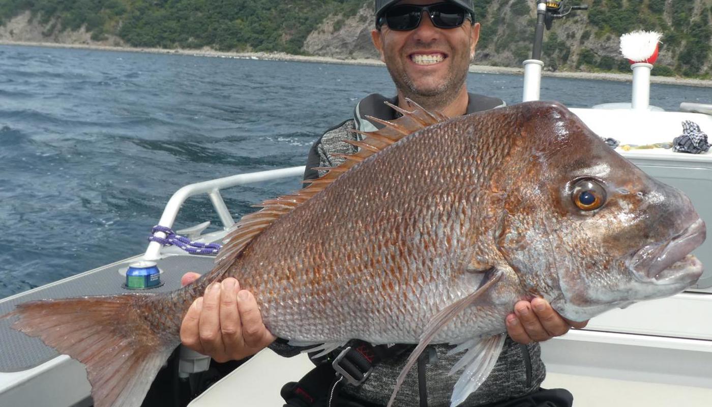 Little Barrier Island is a great place to catch big fish
