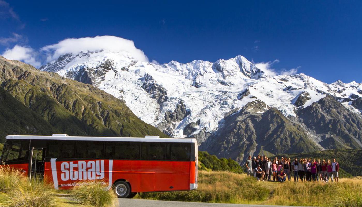 Stray at Mount Cook.