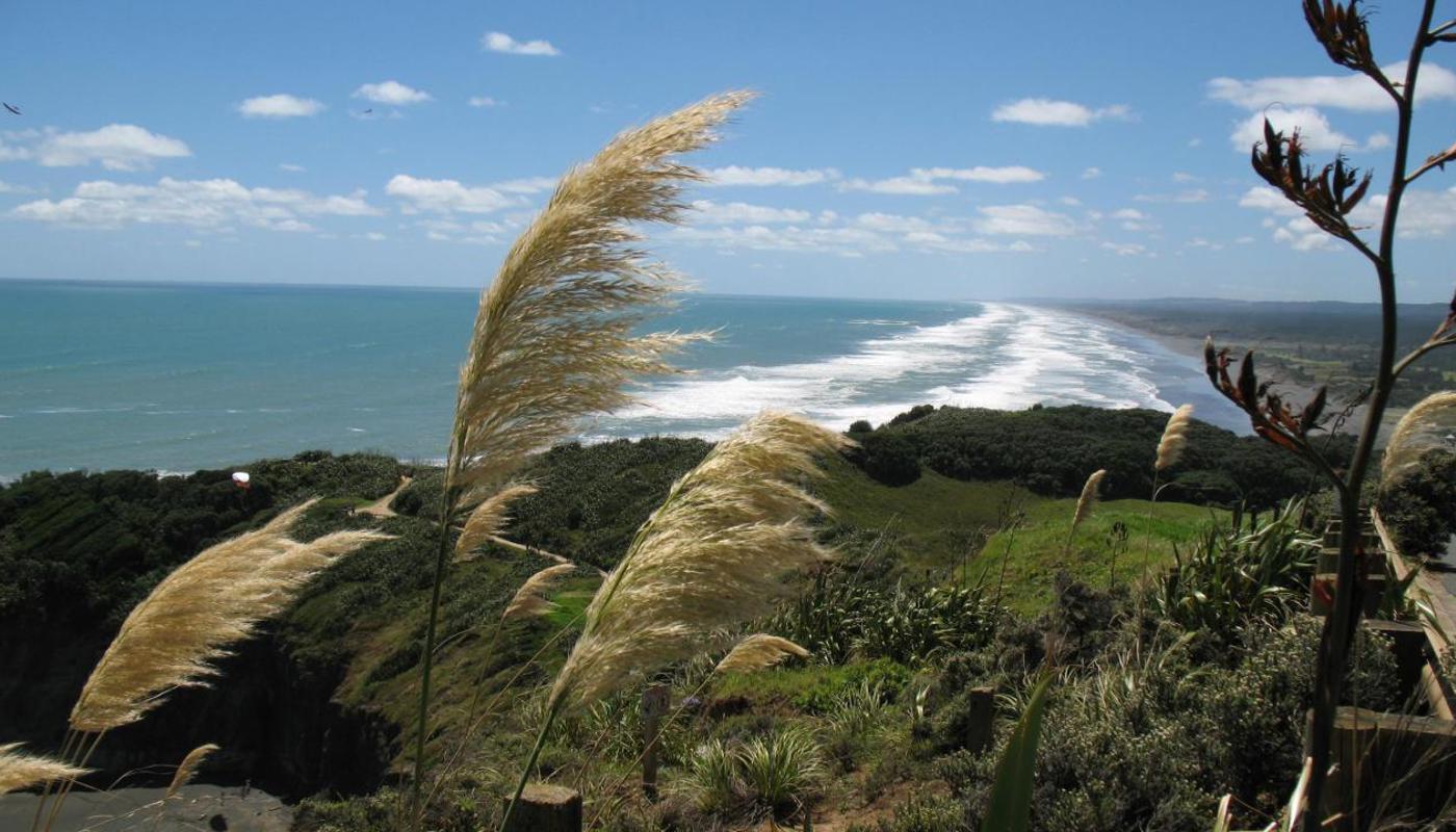 Muriwai Beach.