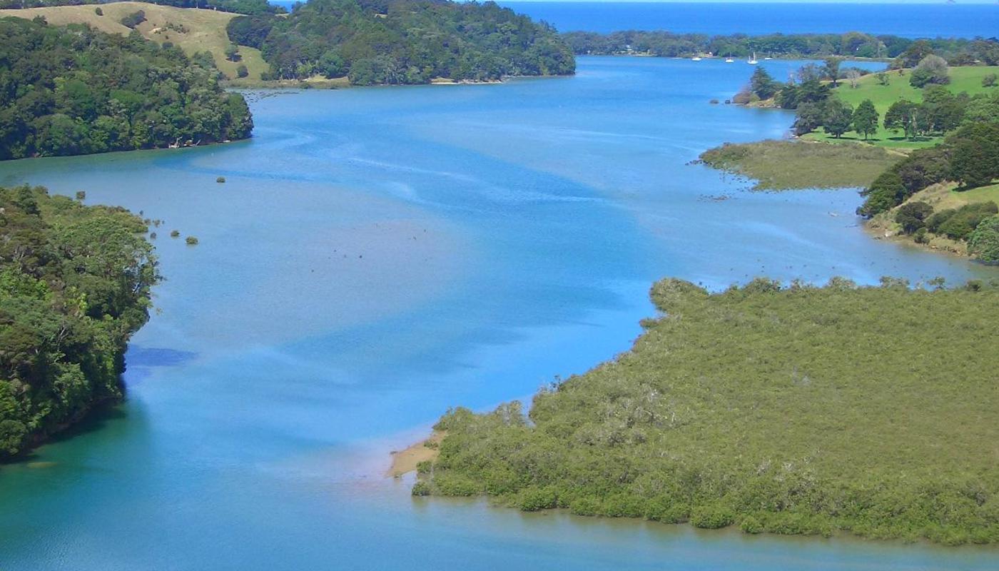 Puhoi River Canoe Hire