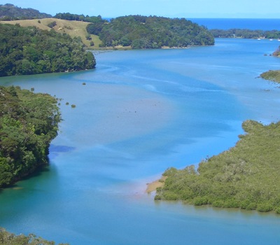 Puhoi River Kayaks Ltd