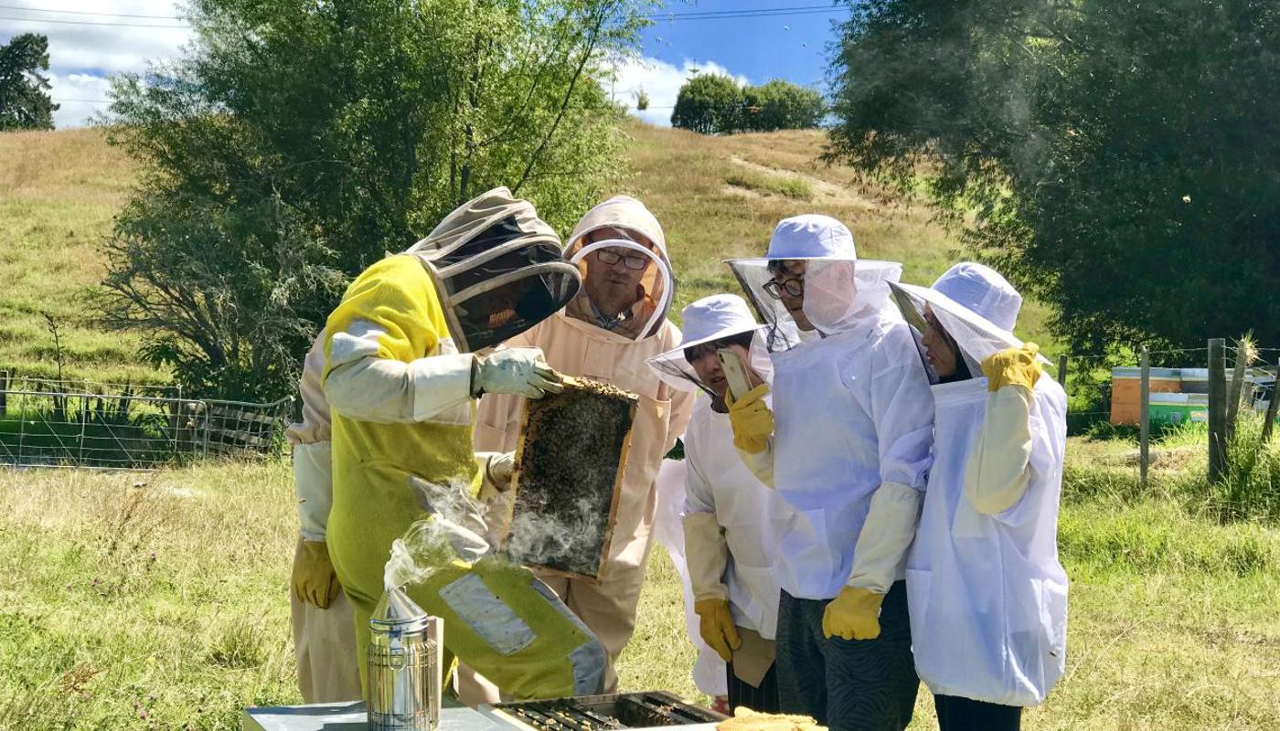 Hands on beekeeping experience