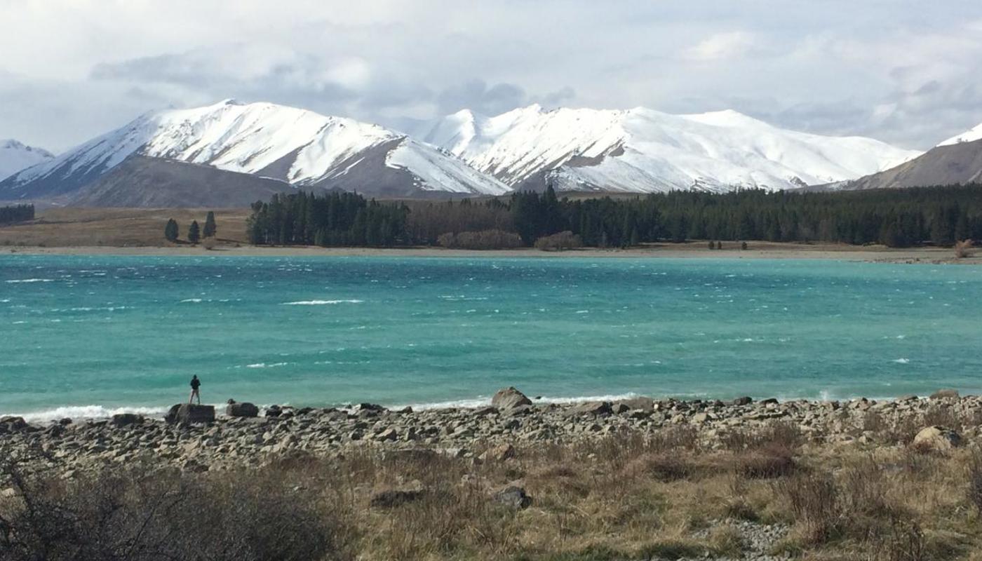 Tour NZ in style with just your own group and our driver.