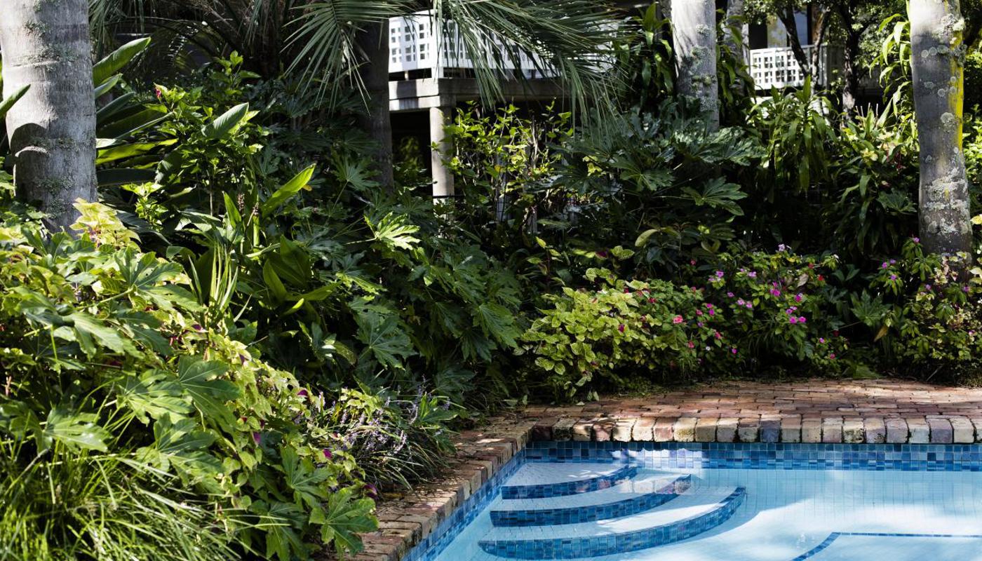 Relax in our luxurious sub tropical garden