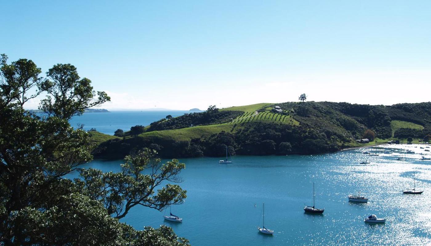 Matiatia Estate Waiheke