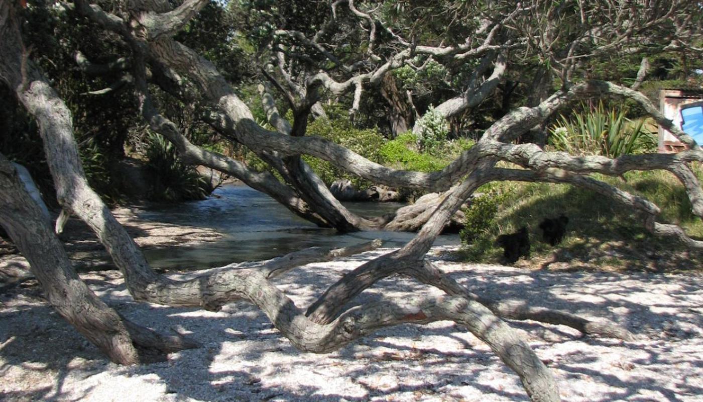 Hidden beaches