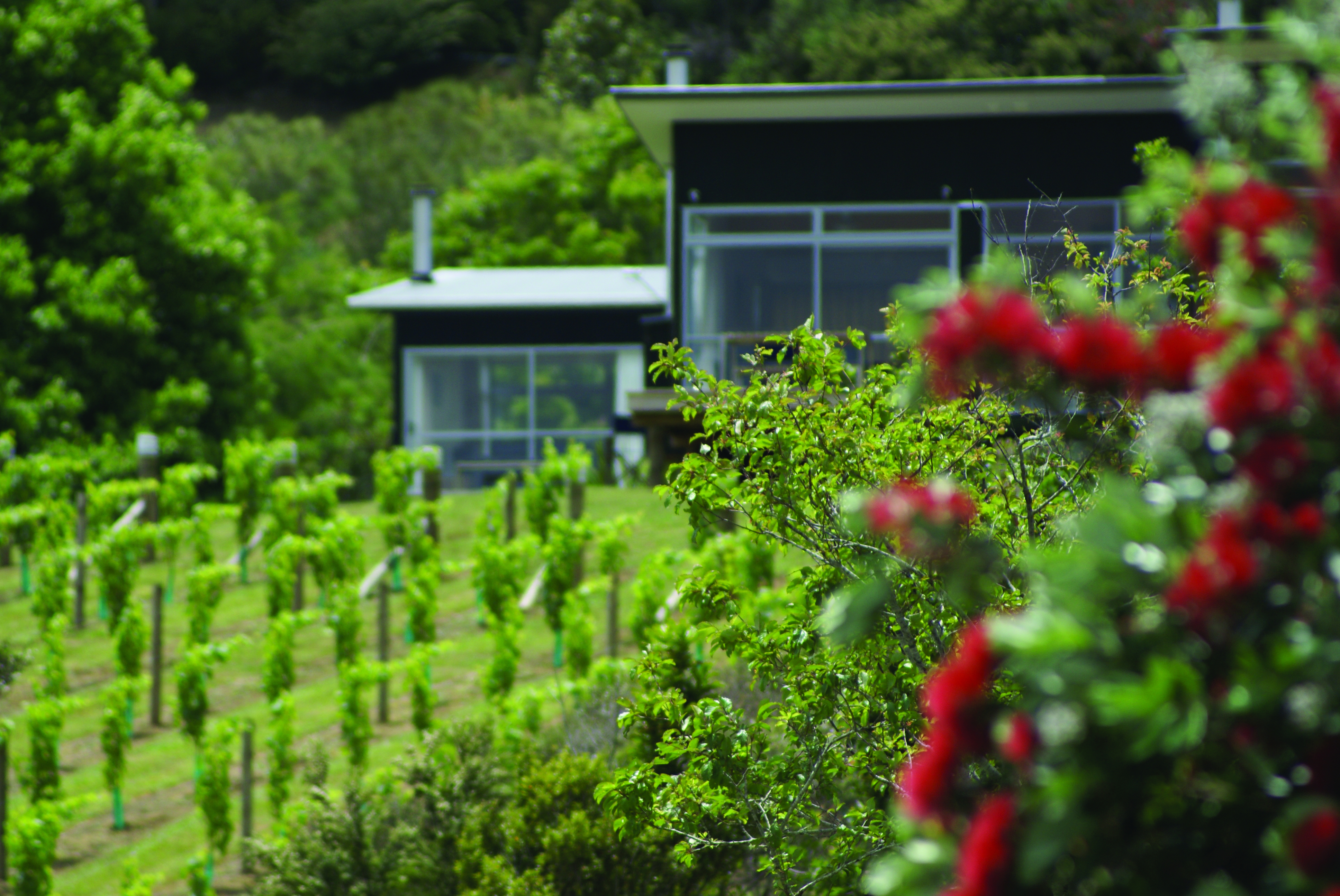 Riverside Matakana