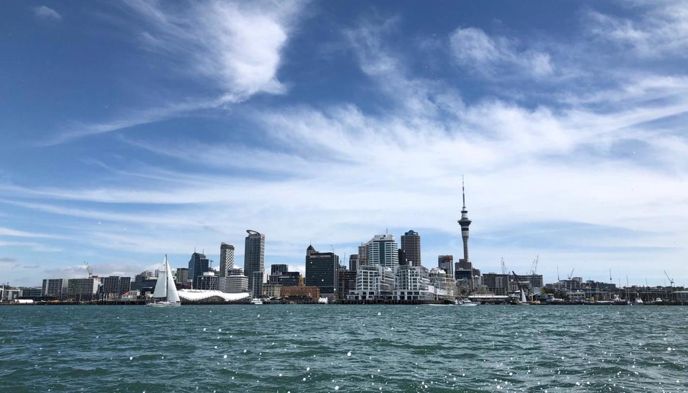 Auckland city view