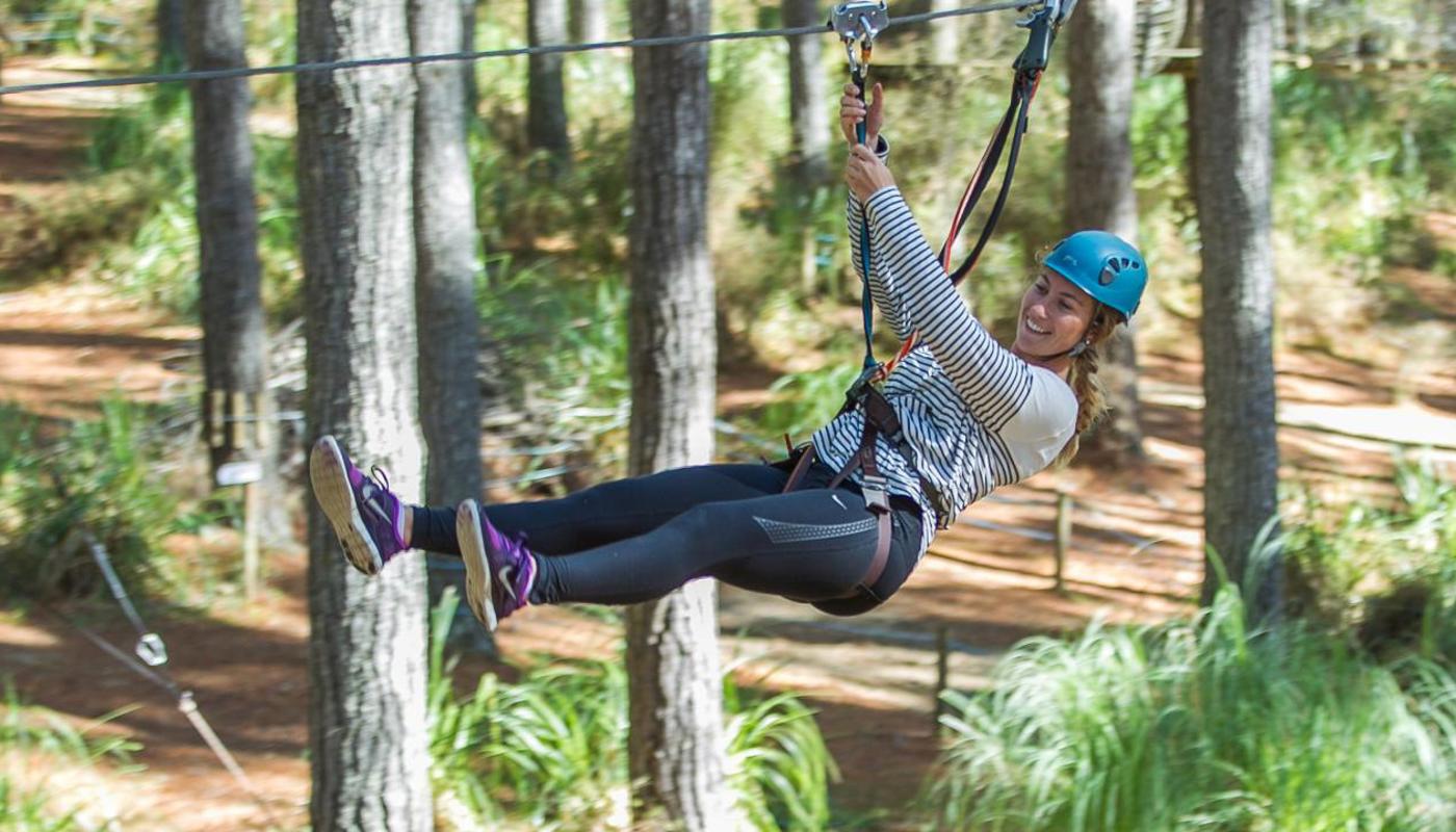 Flying fox at Tree Adventures