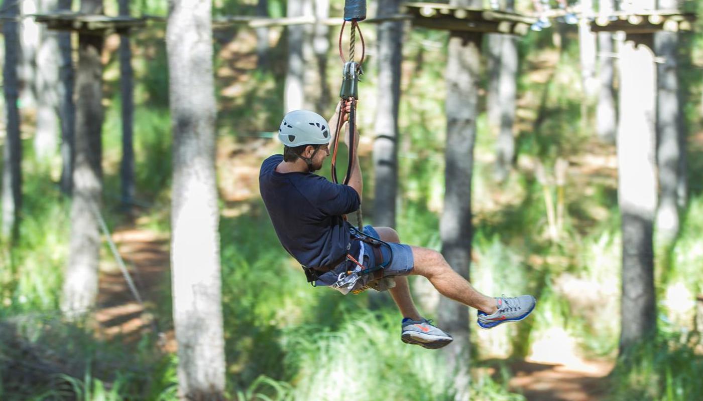 Flying fox