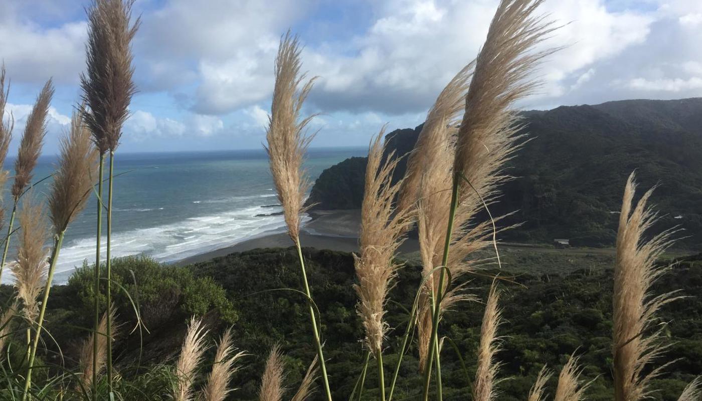 Black sand volcanic beaches on the West Coast/Tasman Sea