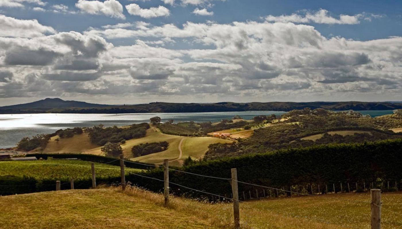 Waiheke Art Walk