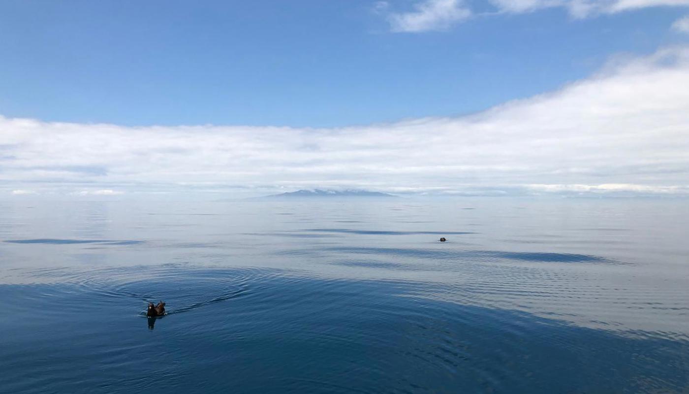 Fishing point