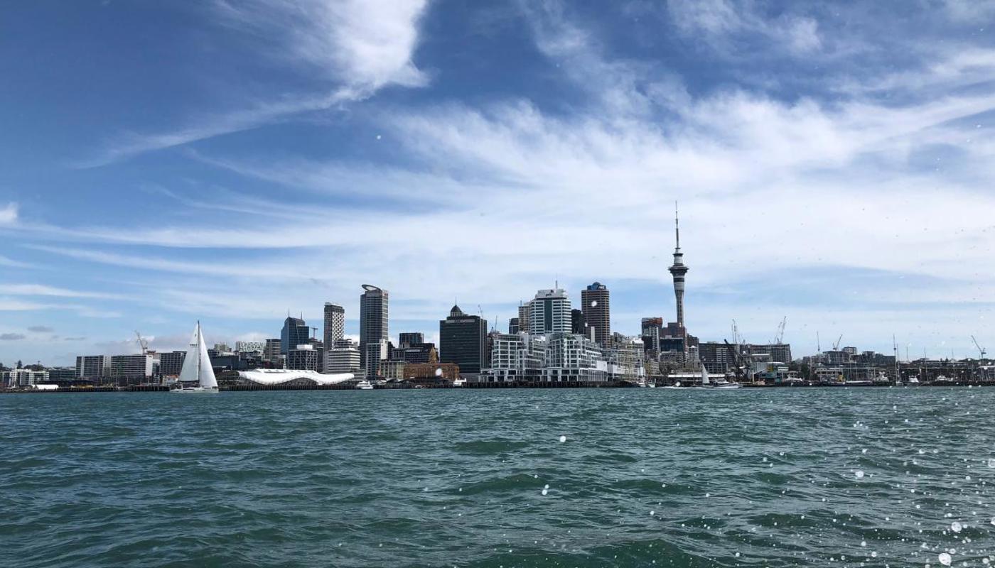 Auckland city view