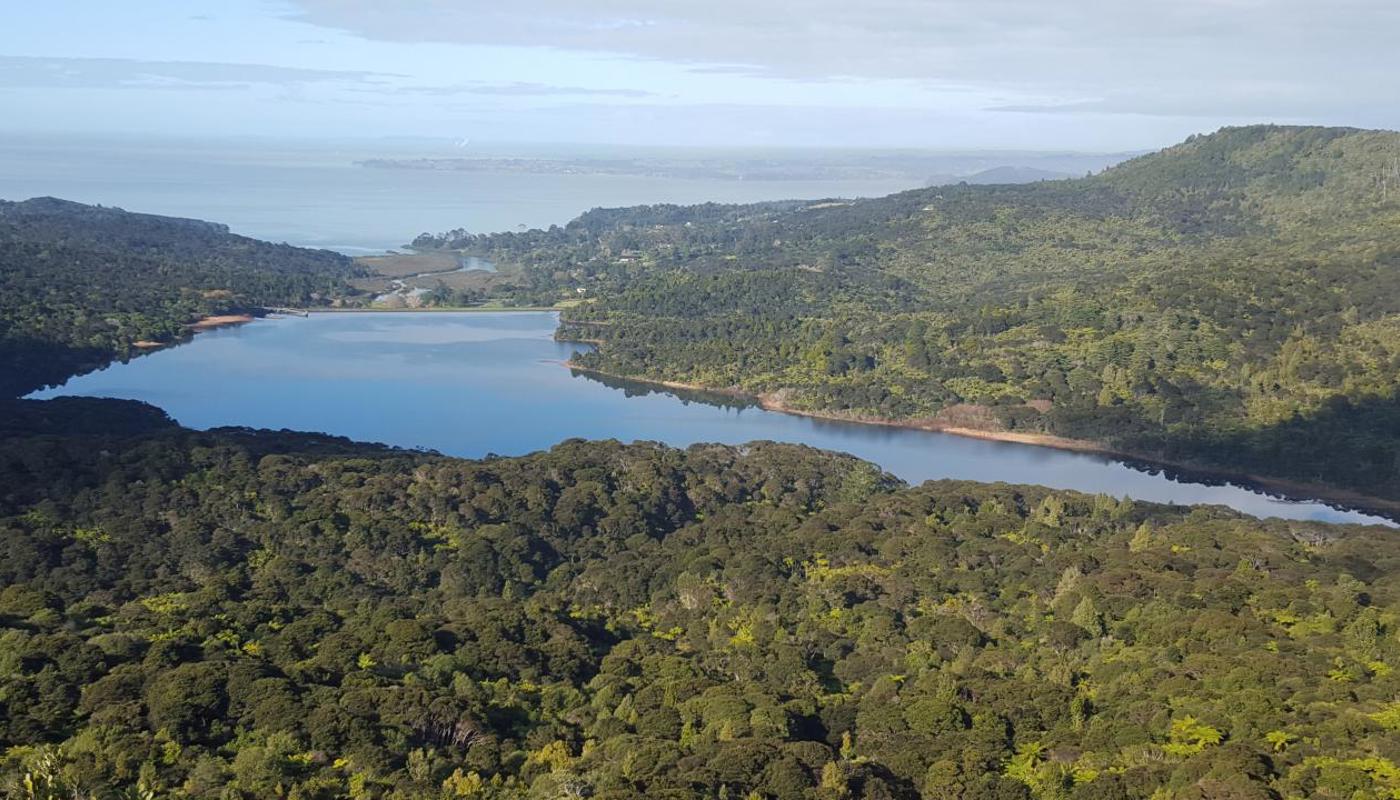 Views over the rainforest