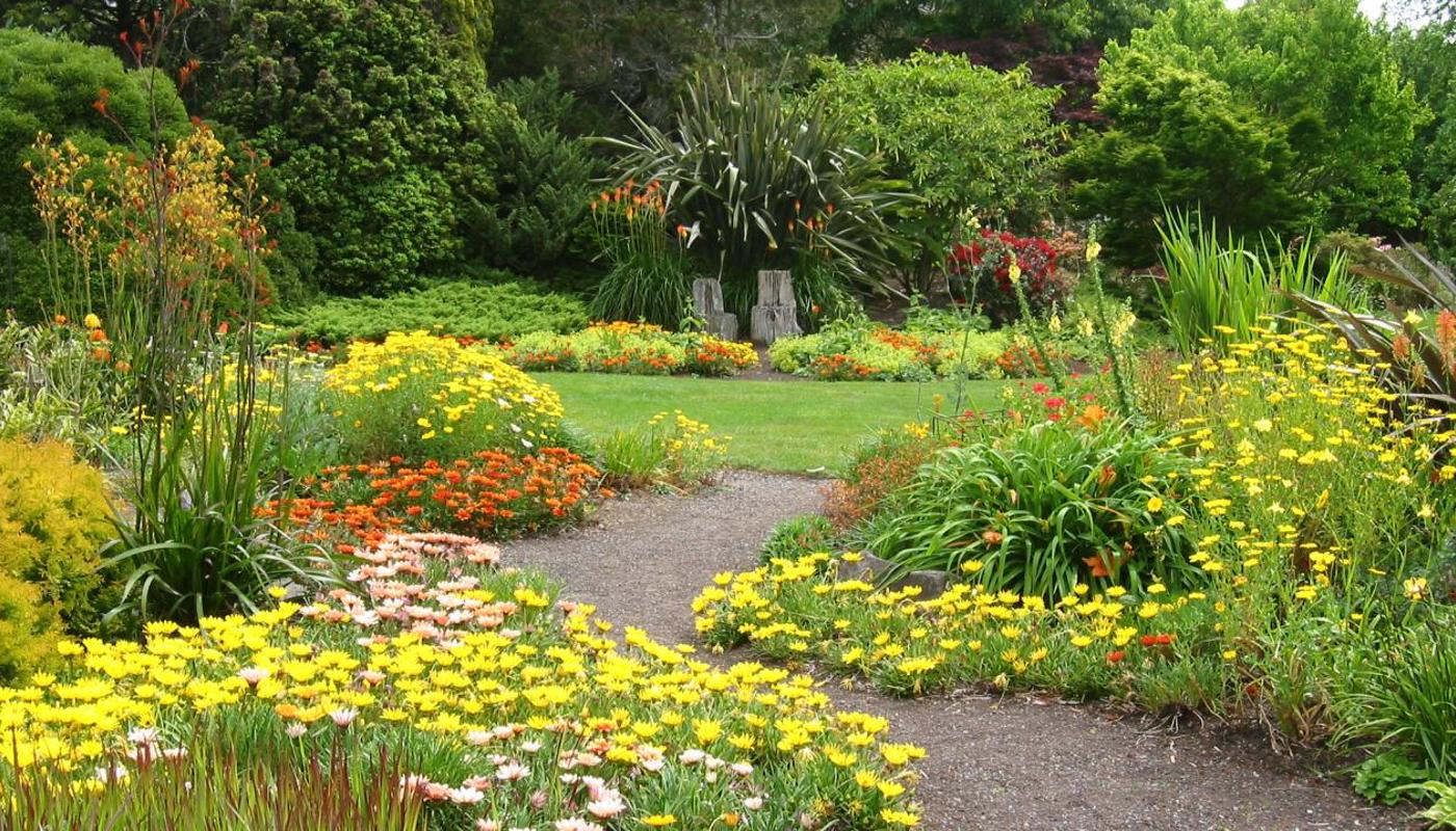 Lurid Garden - full of bright coloured plants