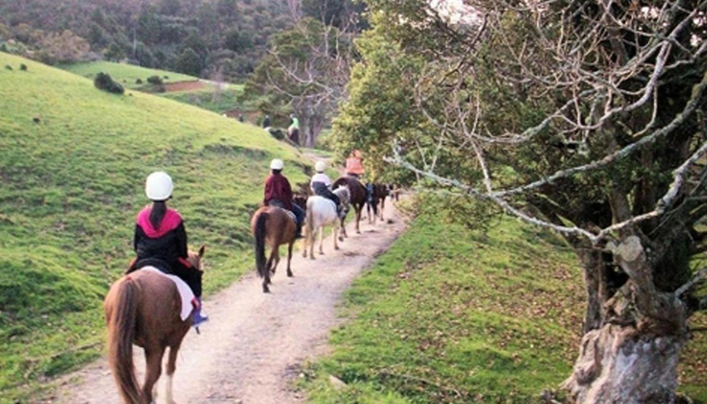 Horse trekking