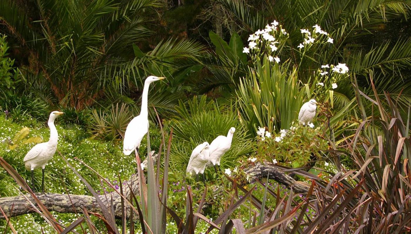 Whitford Bird Garden