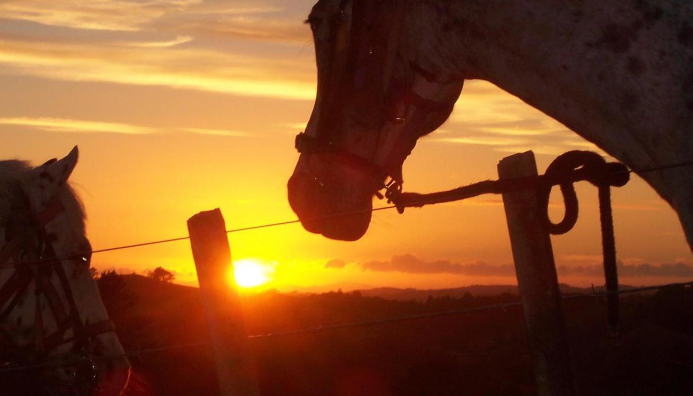 Horses and riders enjoy the sunset