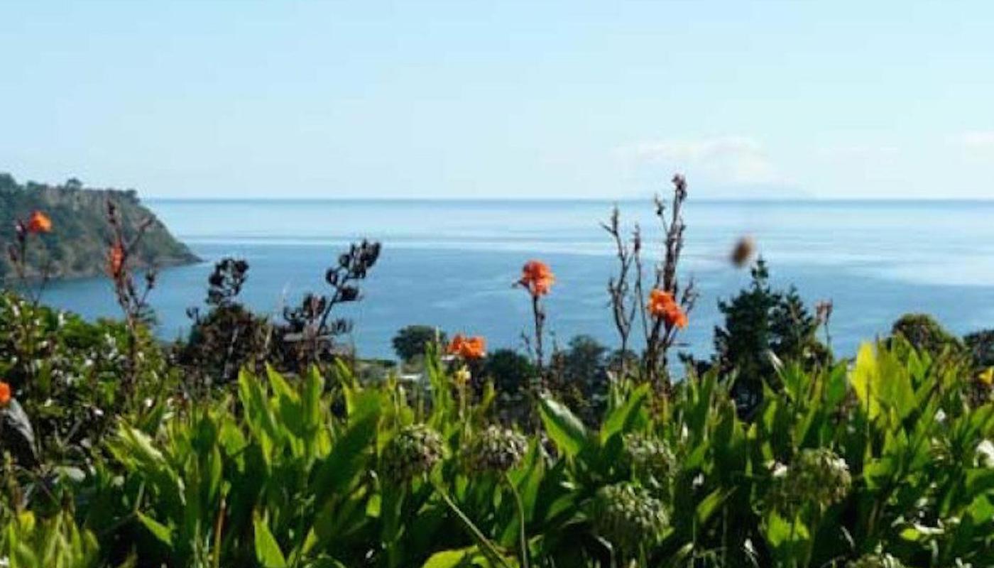 Enchanting views