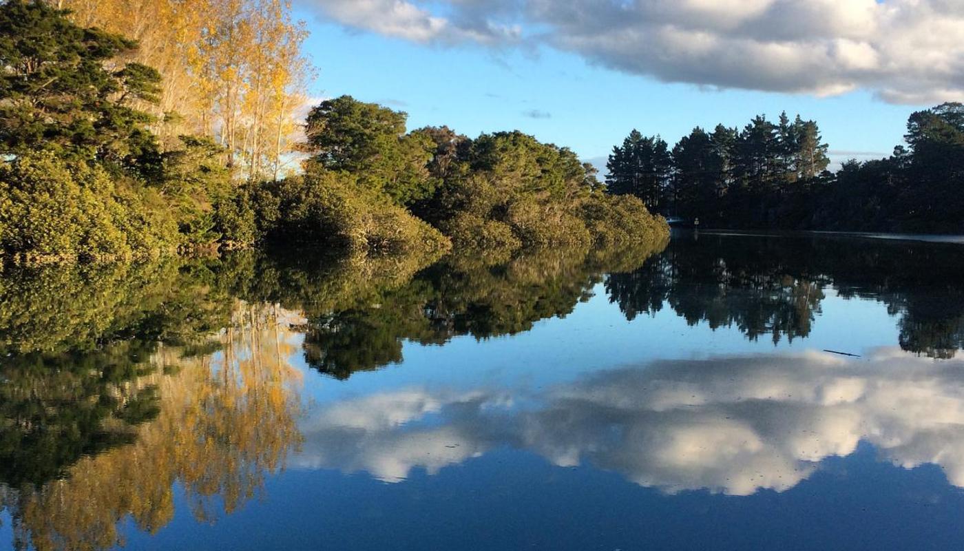 Reflections