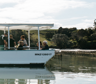 NZ Oyster Farm Tours