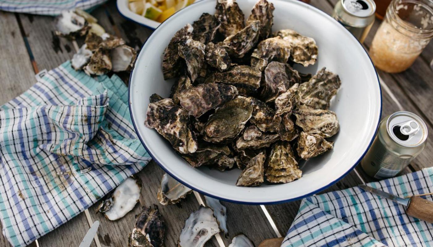 NZ Oyster Farm Tours Image 2