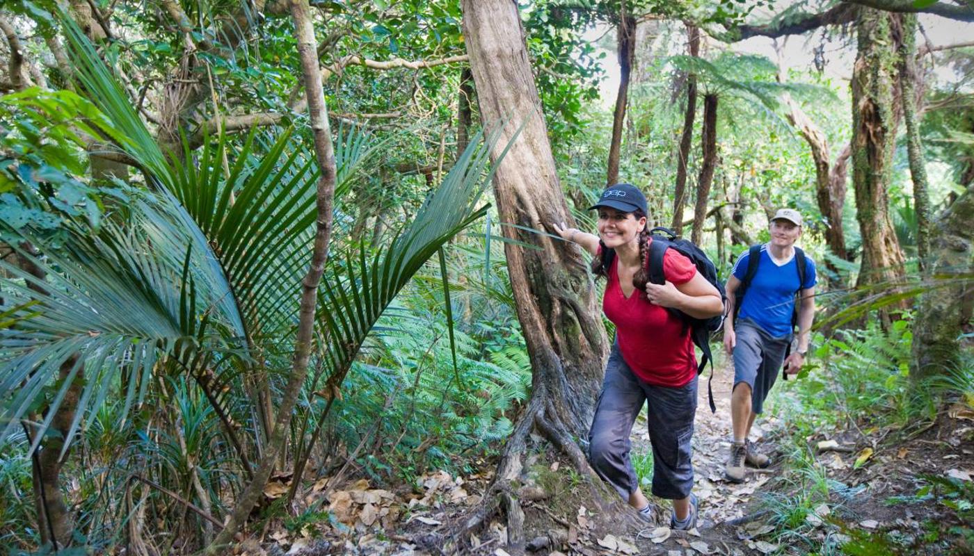 Private Auckland Guided Wilderness Walk with TIME Unlimited Tours