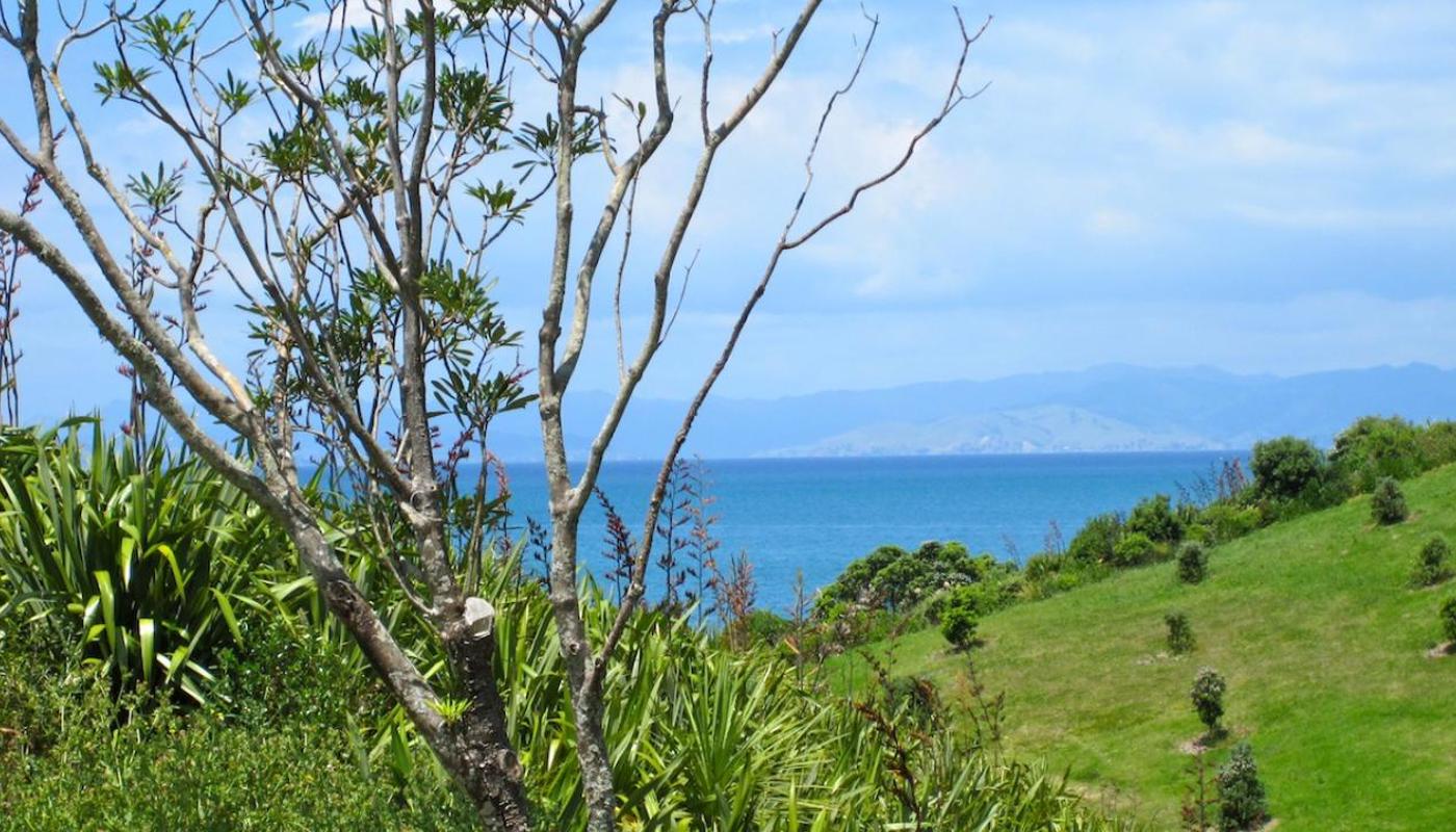 View across to Coromandel from the Superintendent's House, Rotoroa Island