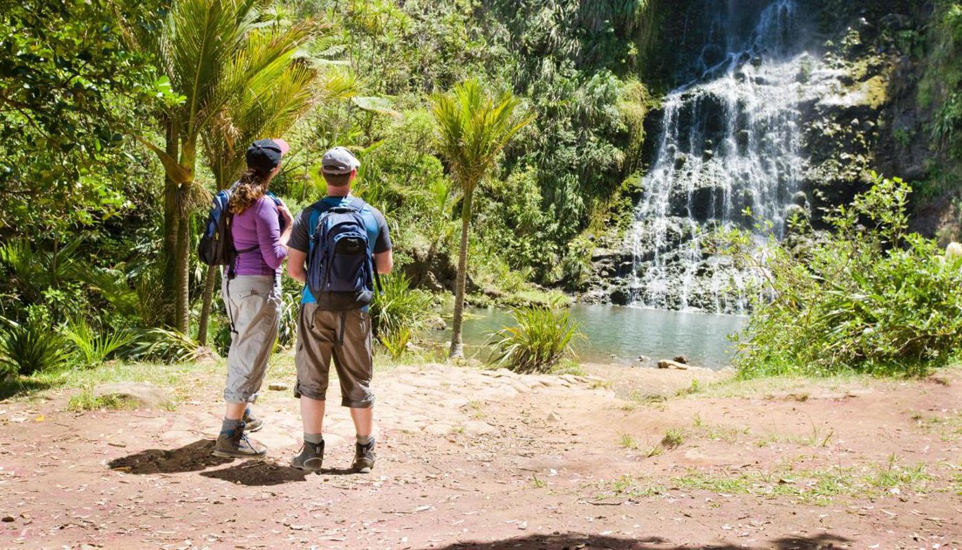 Private Auckland Guided Wilderness Walk with TIME Unlimited Tours