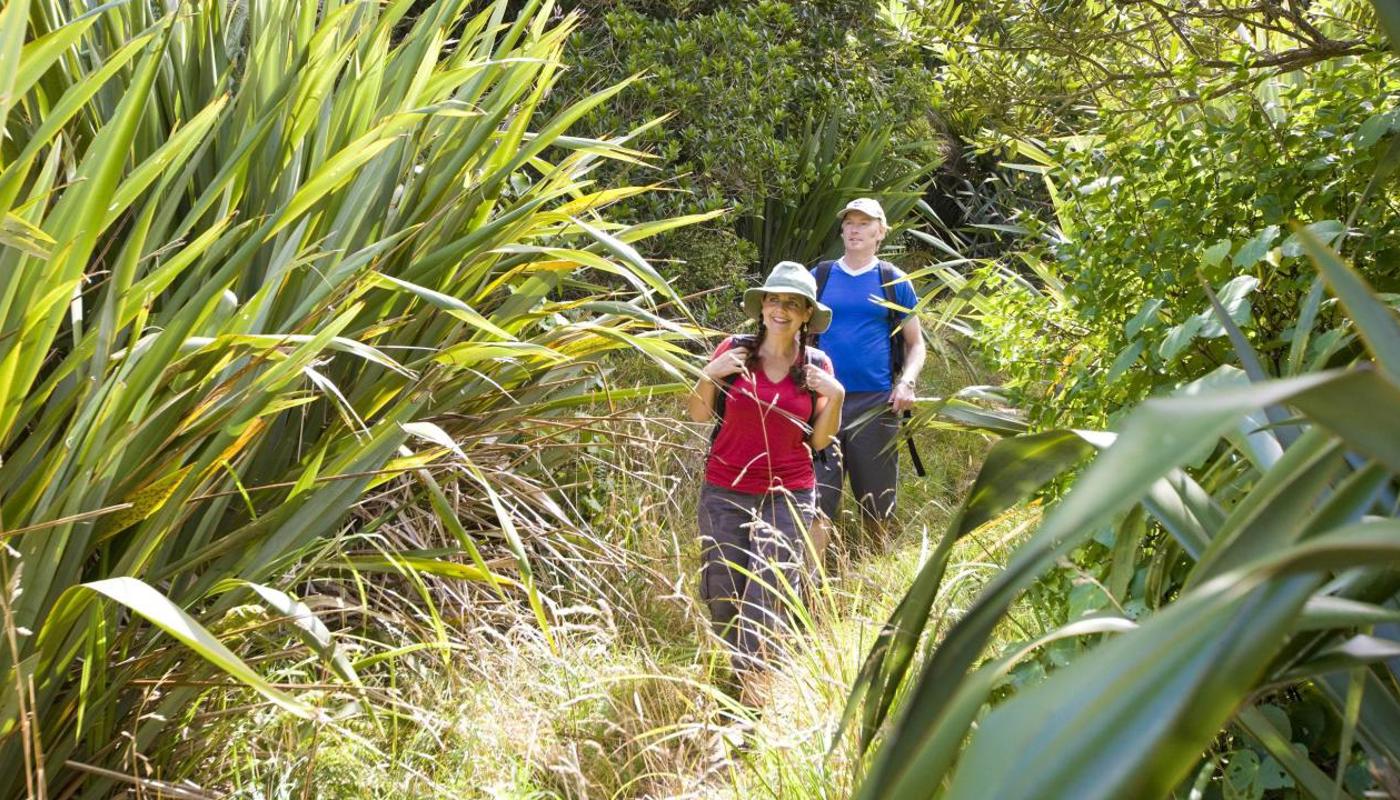 Private Auckland Guided Wilderness Walk with TIME Unlimited Tours
