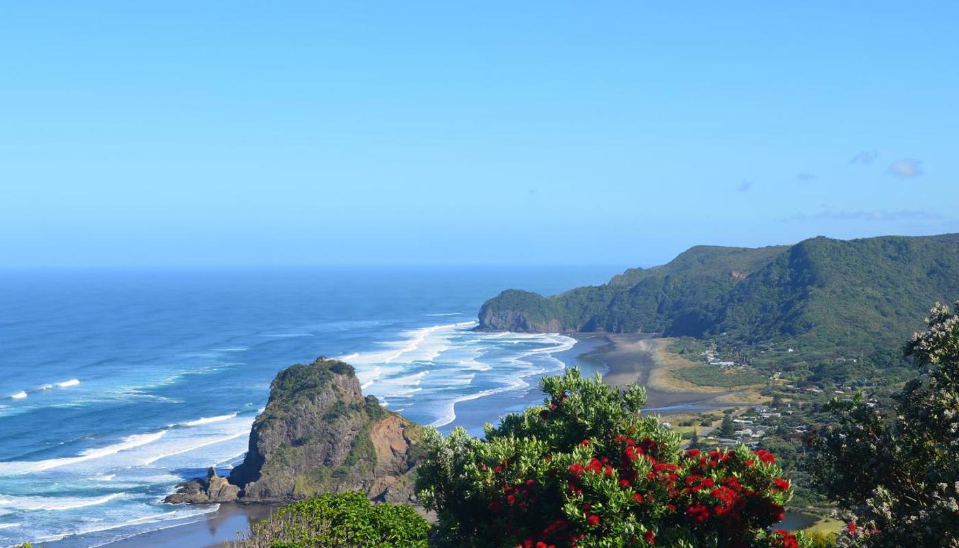 Piha Beach