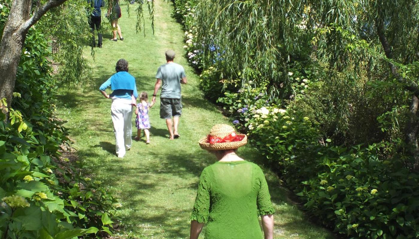 Kaipara Coast Sculpture Gardens hydrangea walk.