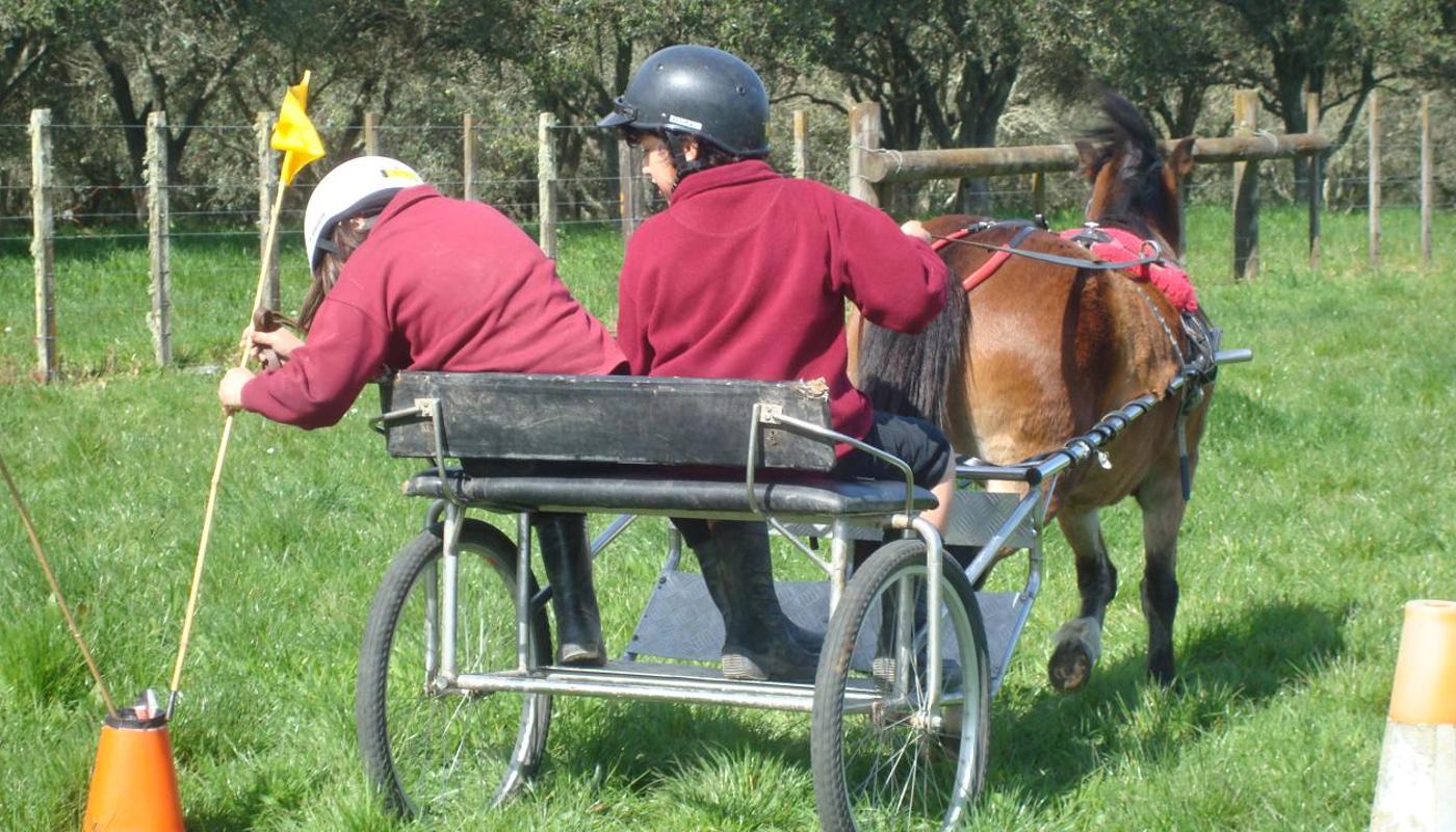 Harness driving