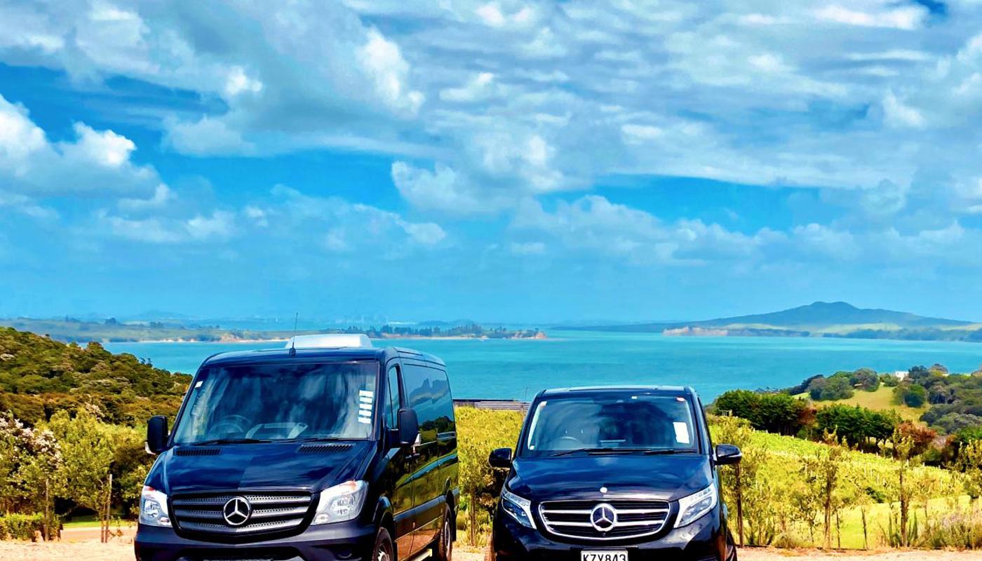 11 Seater Sprinter and 6 Seater V220