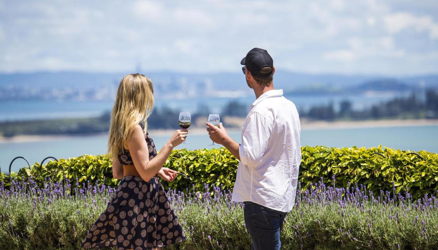 View from Mudbrick Vineyard