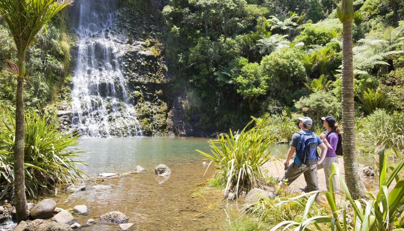 Private Auckland Guided Wilderness Walk with TIME Unlimited Tours
