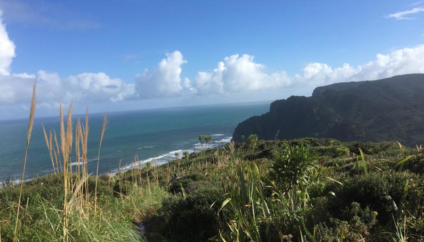 Stunning West Coast