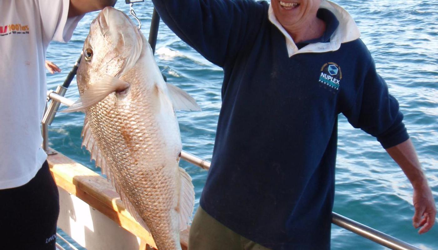 Snapper
