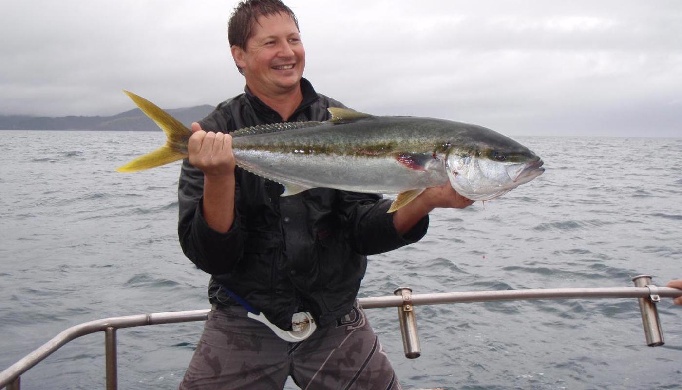 Kingfish