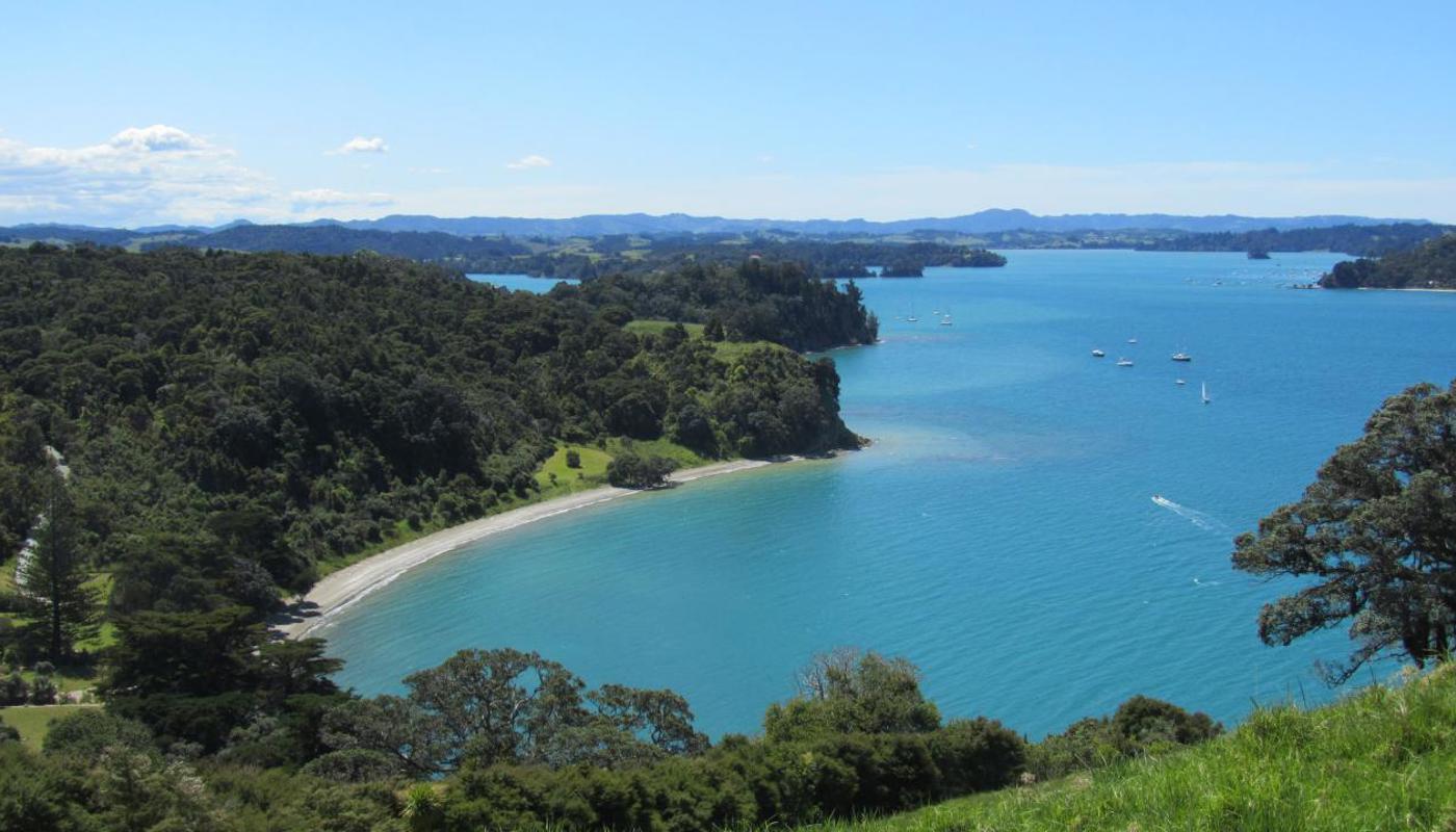 Matakana Coast and Country